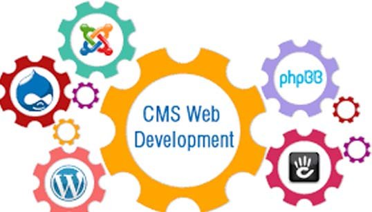 Cms Development